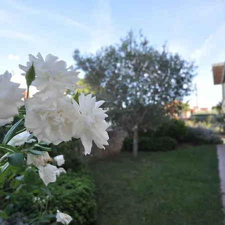 Casa de hóspedes I Leoncini